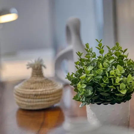 Le Berriat - Gare - Palais De Justice * Grenoble