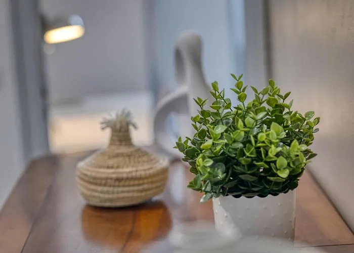 Le Berriat - Gare - Palais De Justice * Grenoble